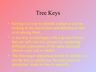 Dendrology | PPT