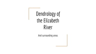Dendrology of
the Elizabeth
River
And surrounding areas
 
