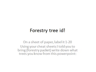 Forestry Tree ID  