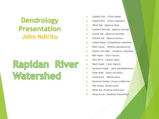 Dendrology
Presentation
John Ndiritu
 Loblolly Pine ( Pinus taeda)
 Virginia Pine ( Pinus virginiana)
 White Oak (Quercus alba)
 Southern Red Oak (Quercus falcate)
 Scarlet oak (Quercus coccinea)
 Chesnut oak (Quercus prinus)
 Yellow Poplar (Liriodendron tulipifera)
 Black Locust (Robinia pseudoacacia)
 Eastern red cedar (Juniperus virginiana)
 Red maple (Acer rubrum)
 River Birch ( Betula nigra)
 Black maple ( Acer nigrum)
 Sycamore maple (Acer pseudoplatanus)
 Hazel alder (Alnus serrulata)
 Sweet birch (Betula lenta
 Butternut hickory (Carya cordiformis)
 Red hickory (Carya ovalis)
 White ash (Fraxinus americana)
 Honey locust (Gleditsia triacanthos)
 