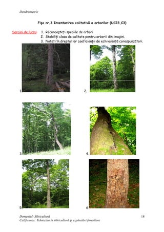 Dendrometrie
Domeniul: Silvicultură
Calificarea: Tehnician în silvicultură şi exploatări forestiere
18
Fişa nr.3 Inventarirea calitativă a arborilor (UC23,C3)
Sarcini de lucru: 1. Recunoaşteţi speciile de arbori
2. Stabiliţi clasa de calitate pentru arborii din imagini.
3. Notaţi în dreptul lor coeficienţii de echivalenţă corespunzători.
1. 2.
3. 4.
5. 6.
 