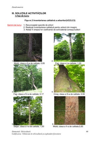 Dendrometrie
Domeniul: Silvicultură
Calificarea: Tehnician în silvicultură şi exploatări forestiere
48
III. SOLUŢIILE ACTIVITĂŢILOR
1.Fişe de lucru
Fişa nr.3 Inventarierea calitativă a arborilor(UC23,C3)
Sarcini de lucru: 1. Recunoaşteţi speciile de arbori
2. Realizaţi inventarierea calitativă pentru arborii din imagini.
3. Notaţi în dreptul lor coeficienţii de echivalenţă corespunzători
1. 2.
Molid; clasa a II-a de calitate; 0,85 Fag; clasa a I-a calitate; 1,00
3. 4. .
Fag; clasa a IV-a de calitate; 0,17 Cireş; clasa a III-a de calitate; 0,50
5. 6.
Stejar; clasa a I-a de calitate; 1,00 Molid; clasa a II-a de calitate;0,85
 