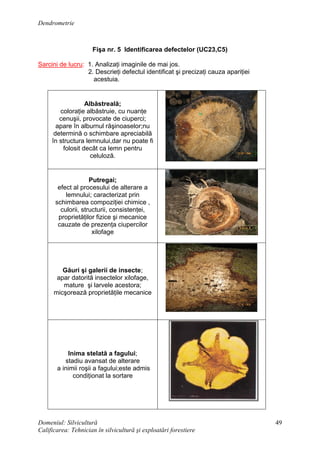 Dendrometrie
Domeniul: Silvicultură
Calificarea: Tehnician în silvicultură şi exploatări forestiere
49
Fişa nr. 5 Identificarea defectelor (UC23,C5)
Sarcini de lucru: 1. Analizaţi imaginile de mai jos.
2. Descrieţi defectul identificat şi precizaţi cauza apariţiei
acestuia.
Albăstreală;
coloraţie albăstruie, cu nuanţe
cenuşii, provocate de ciuperci;
apare în alburnul răşinoaselor;nu
determină o schimbare apreciabilă
în structura lemnului,dar nu poate fi
folosit decât ca lemn pentru
celuloză.
Putregai;
efect al procesului de alterare a
lemnului; caracterizat prin
schimbarea compoziţiei chimice ,
culorii, structurii, consistenţei,
proprietăţilor fizice şi mecanice
cauzate de prezenţa ciupercilor
xilofage
Găuri şi galerii de insecte;
apar datorită insectelor xilofage,
mature şi larvele acestora;
micşorează proprietăţile mecanice
Inima stelată a fagului;
stadiu avansat de alterare
a inimii roşii a fagului;este admis
condiţionat la sortare
 