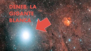 DENEB: LA
GIGANTE
BLANCA
 