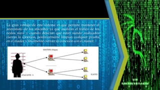 La gran ventaja de este sistema es que permite mantener el
anonimato de los atacantes ya que analizan el trafico de los
nodos slave y cuando detectan que están siendo analizados
cierran la conexión, posteriormente limpian cualquier prueba
en el master y finalmente cierran su conexión con el master.
 