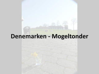 Denemarken - Mogeltonder
 