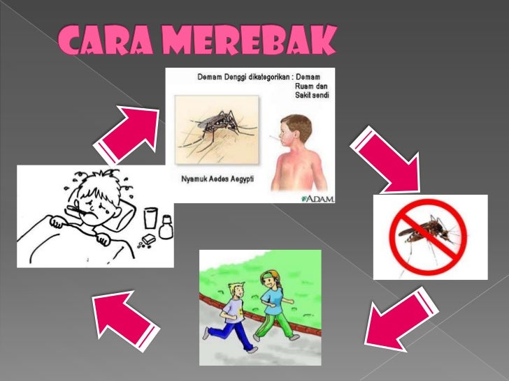 Denggi