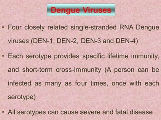 Dengue Viruses

• Four closely related single-stranded RNA Dengue

 viruses (DEN-1, DEN-2, DEN-3 and DEN-4)

• Each serotype provides specific lifetime immunity,

 and short-term cross-immunity (A person can be

 infected as many as four times, once with each

 serotype)

• All serotypes can cause severe and fatal disease
 