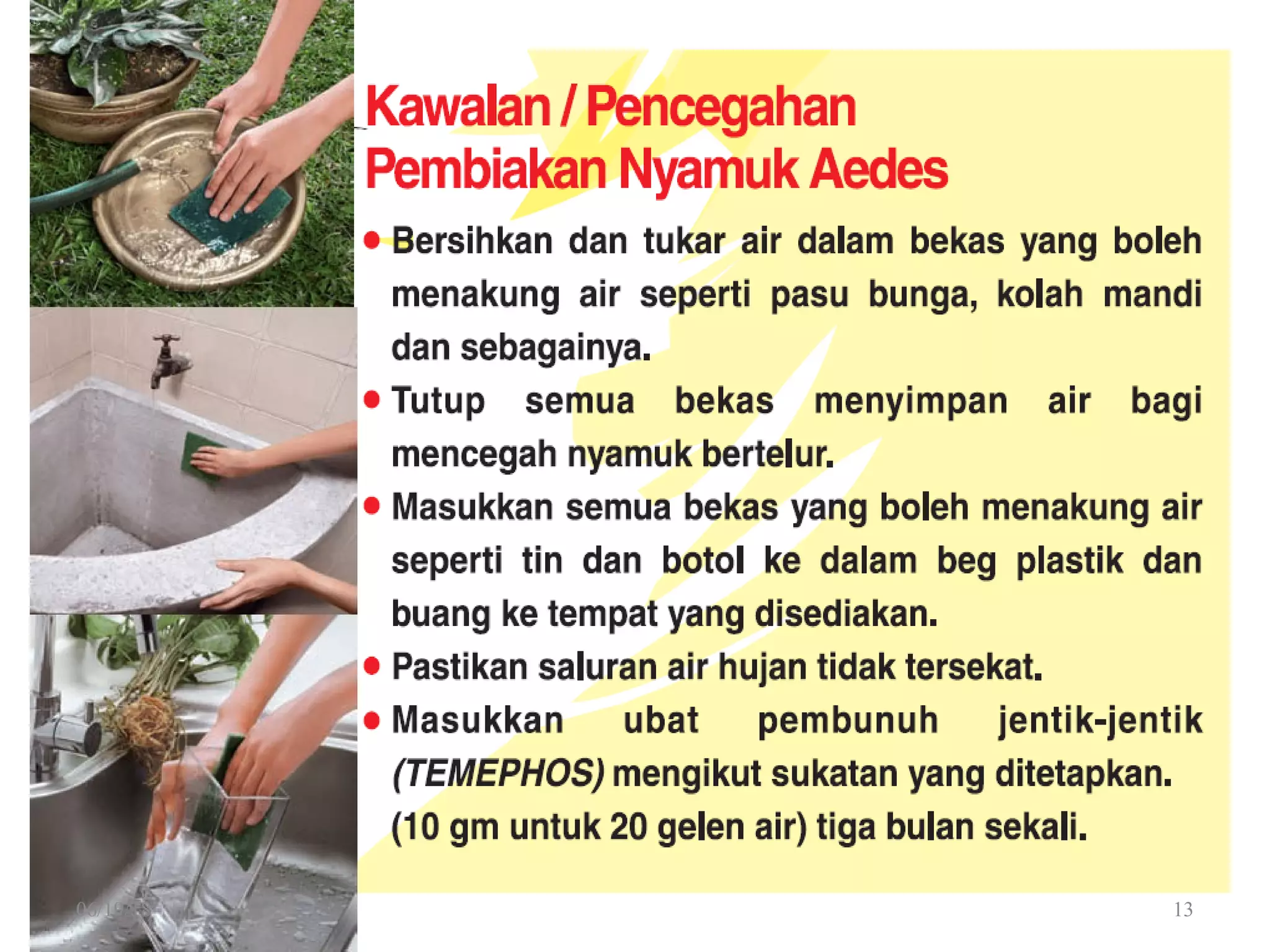 Penyakit Demam Denggi. Pengenalan dan Kawalan. PPT