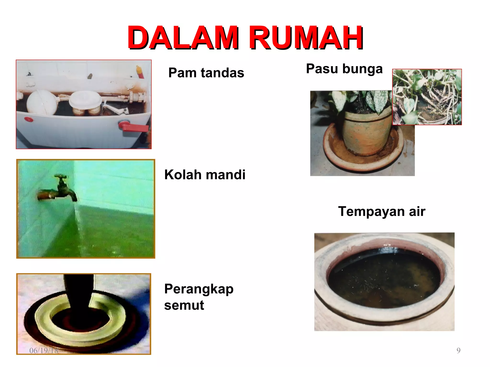 Penyakit Demam Denggi. Pengenalan dan Kawalan. PPT