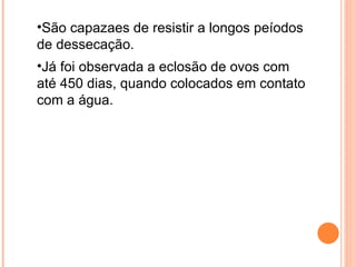 São capazaes de resistir a longos peíodos de dessecação. Já foi observada a eclosão de ovos com até 450 dias, quando colocados em contato com a água. 