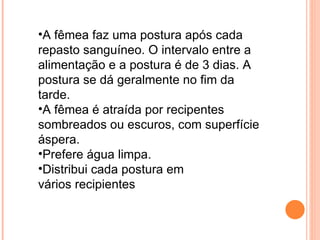 A fêmea faz uma postura após cada repasto sanguíneo. O intervalo entre a alimentação e a postura é de 3 dias. A postura se dá geralmente no fim da tarde.  A fêmea é atraída por recipentes sombreados ou escuros, com superfície áspera.  Prefere água limpa.  Distribui cada postura em vários recipientes 