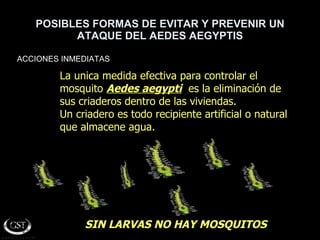 POSIBLES FORMAS DE EVITAR Y PREVENIR UN ATAQUE DEL AEDES AEGYPTIS ACCIONES INMEDIATAS SIN LARVAS NO HAY MOSQUITOS La unica medida efectiva para controlar el mosquito  Aedes aegypti   es la eliminación de sus criaderos dentro de las viviendas. Un criadero es todo recipiente artificial o natural  que almacene agua. 
