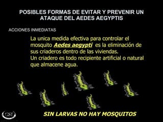 POSIBLES FORMAS DE EVITAR Y PREVENIR UN ATAQUE DEL AEDES AEGYPTIS ACCIONES INMEDIATAS SIN LARVAS NO HAY MOSQUITOS La unica medida efectiva para controlar el mosquito  Aedes aegypti   es la eliminación de sus criaderos dentro de las viviendas. Un criadero es todo recipiente artificial o natural  que almacene agua. 