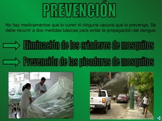 PREVENCIÓN No hay medicamentos que lo curen ni ninguna vacuna que lo prevenga. Se debe recurrir a dos medidas básicas para evitar la propagación del dengue: Eliminación de los criaderos de mosquitos Prevención de las picaduras de mosquitos 