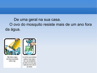 De uma geral na sua casa. O ovo do mosquito resiste mais de um ano fora da água. 