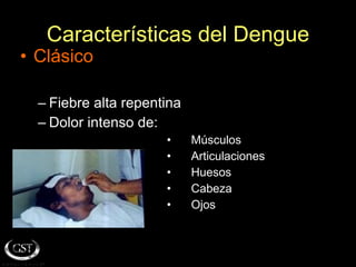 Características del Dengue Clásico Fiebre alta repentina Dolor intenso de: Músculos  Articulaciones Huesos Cabeza Ojos 