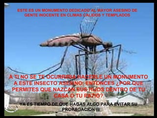ESTE ES UN MONUMENTO DEDICADO AL MAYOR ASESINO DE GENTE INOCENTE EN CLIMAS CALIDOS Y TEMPLADOS A TI NO SE TE OCURRIRIA HACERLE UN MONUMENTO A ESTE INSECTO ASESINO; ENTONCES ¿POR QUE PERMITES QUE NAZCAN SUS HIJOS DENTRO DE TU CASA O TU PATIO? YA ES TIEMPO DE QUE HAGAS ALGO PARA EVITAR SU PROPAGACION 