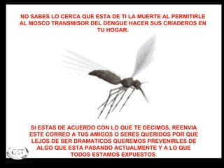 NO SABES LO CERCA QUE ESTA DE TI LA MUERTE AL PERMITIRLE AL MOSCO TRANSMISOR DEL DENGUE HACER SUS CRIADEROS EN TU HOGAR. SI ESTAS DE ACUERDO CON LO QUE TE DECIMOS, REENVIA ESTE CORREO A TUS AMIGOS O SERES QUERIDOS POR QUE LEJOS DE SER DRAMATICOS QUEREMOS PREVENIRLES DE ALGO QUE ESTA PASANDO ACTUALMENTE Y A LO QUE TODOS ESTAMOS EXPUESTOS . 