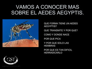 VAMOS A CONOCER MAS SOBRE EL AEDES AEGYPTIS. QUE FORMA TIENE UN AEDES AEGYPTIS? QUE TRANSMITE Y POR QUE? COMO Y DONDE NACE  POR QUE PICA  Y POR QUE SOLO LAS HEMBRAS POR QUE ES TAN DIFICIL HERRADICARLO  