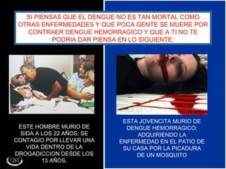 SI PIENSAS QUE EL DENGUE NO ES TAN MORTAL COMO OTRAS ENFERMEDADES Y QUE POCA GENTE SE MUERE POR CONTRAER DENGUE HEMORRAGICO Y QUE A TI NO TE PODRIA DAR PIENSA EN LO SIGUIENTE: ESTE HOMBRE MURIO DE SIDA A LOS 22 AÑOS; SE CONTAGIO POR LLEVAR UNA VIDA DENTRO DE LA DROGADICCION DESDE LOS 13 AÑOS. ESTA JOVENCITA MURIO DE DENGUE HEMORRAGICO; ADQUIRIENDO LA ENFERMEDAD EN EL PATIO DE SU CASA POR LA PICADURA DE UN MOSQUITO 