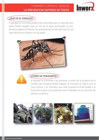 CAMPAÑA CONTRA EL DENGUE
                              LA PREVENCION DEPENDE DE TODOS                      Partnering Solutions




    ¿QUE ES EL DENGUE?
     El dengue es una enfermedad viral transmitida por un tipo de mos-
     quito (Aedes aegipti), que se cría en el agua acumulada en reci-
     pientes y objetos en desuso. Se caracteriza por ser de color oscuro, con
     rayas blancas en el dorso y en las patas.




                                                           es aegipti)                          13.30 hs
                                             mosquito (aed



                                  ¿COMO SE TRANSMITE?
                                  El dengue se transmite a las personas a través de la picadura de la
                                  hembra del mosquito Aedes Aegypti. El mosquito se infecta con el
                                  virus al picar a un individuo que está cursando la enfermedad y lo
                                  transmite al picar a otra persona sana. El dengue no se transmite de
                                  persona a persona.




Inworx Partnering Solutions
 