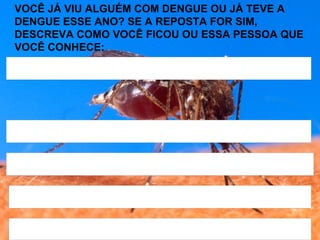 VOCÊ JÁ VIU ALGUÉM COM DENGUE OU JÁ TEVE A DENGUE ESSE ANO? SE A REPOSTA FOR SIM, DESCREVA COMO VOCÊ FICOU OU ESSA PESSOA QUE VOCÊ CONHECE: 