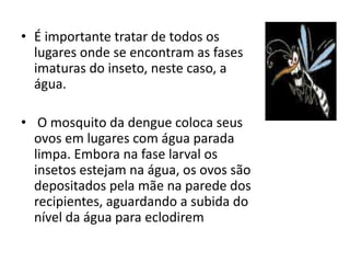 • É importante tratar de todos os
lugares onde se encontram as fases
imaturas do inseto, neste caso, a
água.
• O mosquito da dengue coloca seus
ovos em lugares com água parada
limpa. Embora na fase larval os
insetos estejam na água, os ovos são
depositados pela mãe na parede dos
recipientes, aguardando a subida do
nível da água para eclodirem
 
