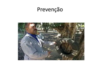 Prevenção
 