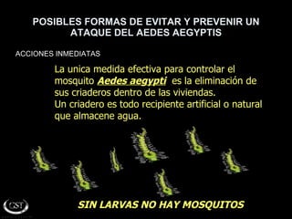 POSIBLES FORMAS DE EVITAR Y PREVENIR UN ATAQUE DEL AEDES AEGYPTIS ACCIONES INMEDIATAS SIN LARVAS NO HAY MOSQUITOS La unica medida efectiva para controlar el mosquito  Aedes aegypti   es la eliminación de sus criaderos dentro de las viviendas. Un criadero es todo recipiente artificial o natural  que almacene agua. 