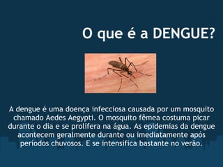 O que é a DENGUE?             A dengue é uma doença infecciosa causada por um mosquito chamado Aedes Aegypti. O mosquito fêmea costuma picar durante o dia e se prolifera na água. As epidemias da dengue acontecem geralmente durante ou imediatamente após períodos chuvosos. E se intensifica bastante no verão. 