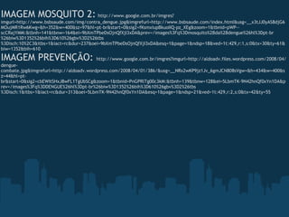   IMAGEM MOSQUITO 2:   http://www.google.com.br/imgres?imgurl=http://www.bsbsaude.com/img/contra_dengue.jpg&imgrefurl=http://www.bsbsaude.com/index.html&usg=__x3tJJ0yAS8djG6MOujMR1Rw6Kwg=&h=352&w=400&sz=97&hl=pt-br&start=0&sig2=fKsmxiupBkuoIIQ-pz_XEg&zoom=1&tbnid=pWP--scCRajYMM:&tbnh=141&tbnw=164&ei=9bXmTPbeDsOjnQfXjI3xDA&prev=/images%3Fq%3Dmosquito%2Bda%2Bdengue%26hl%3Dpt-br%26biw%3D1352%26bih%3D610%26gbv%3D2%26tbs%3Disch:10%2C3&itbs=1&iact=rc&dur=237&oei=9bXmTPbeDsOjnQfXjI3xDA&esq=1&page=1&ndsp=18&ved=1t:429,r:1,s:0&tx=30&ty=61&biw=1352&bih=610 IMAGEM PREVENÇÃO:  http://www.google.com.br/imgres?imgurl=http://aldoadv.files.wordpress.com/2008/04/dengue-combate.jpg&imgrefurl=http://aldoadv.wordpress.com/2008/04/01/386/&usg=__NRx2wKP9jz1Jv_6gmJCN808sVgw=&h=434&w=400&sz=44&hl=pt-br&start=0&sig2=cbEWItSHxJ8wFL1TgUbSCg&zoom=1&tbnid=PnGPRlTg00c3kM:&tbnh=139&tbnw=128&ei=5LbmTK-9N42hnQf0xYn1DA&prev=/images%3Fq%3DDENGUE%26hl%3Dpt-br%26biw%3D1352%26bih%3D610%26gbv%3D2%26tbs%3Disch:1&itbs=1&iact=rc&dur=313&oei=5LbmTK-9N42hnQf0xYn1DA&esq=1&page=1&ndsp=21&ved=1t:429,r:2,s:0&tx=42&ty=55 