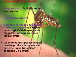 CLASIFICACIÓN DEL DENGUEDengue clásico: Es el más común de encontrar.Dengue hemorrágico.Síndrome de choque por dengue (shock hipovolémico): La fiebre hemorrágica del dengue mas la hipoperfusión produce shock hipovolemico.Los últimos dos tipos de dengue pueden producir la muerte del paciente sin un tratamiento adecuado y a tiempo.