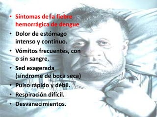 Síntomas de la fiebre hemorrágica de dengue Dolor de estómago intenso y continuo. Vómitos frecuentes, con o sin sangre. Sed exagerada (síndrome de boca seca) Pulso rápido y débil. Respiración difícil. Desvanecimientos.