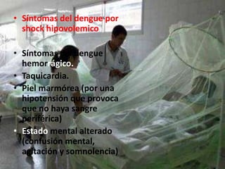 Síntomas del dengue por shock hipovolemico Síntomas del dengue hemorrágico.Taquicardia.Piel marmórea (por una hipotensión que provoca que no haya sangre periférica)Estado mental alterado (confusión mental, agitación y somnolencia)