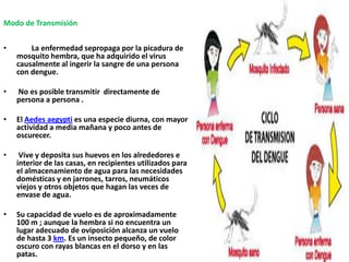 Modo de Transmisión         La enfermedad sepropaga por la picadura de mosquito hembra, que ha adquirido el virus causalmente al ingerir la sangre de una persona con dengue.No es posible transmitir directamente de persona a persona .El Aedesaegypti es una especie diurna, con mayor actividad a media mañana y poco antes de oscurecer.Vive y deposita sus huevos en los alrededores e interior de las casas, en recipientes utilizados para el almacenamiento de agua para las necesidades domésticas y en jarrones, tarros, neumáticos viejos y otros objetos que hagan las veces de envase de agua. Su capacidad de vuelo es de aproximadamente 100 m ; aunque la hembra si no encuentra un lugar adecuado de oviposición alcanza un vuelo de hasta 3 km. Es un insecto pequeño, de color oscuro con rayas blancas en el dorso y en las patas. 