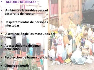 FACTORES DE RIESGO Ambientes favorables para el desarrollo del vectorDesplazamientos de personas infectadas. Diseminación de los mosquitos del dengue. Abastecimiento de agua deficiente.Recolección de basura deficiente.Clima y geografía.