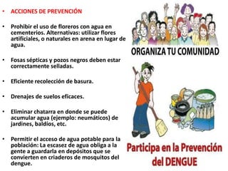 ACCIONES DE PREVENCIÓNProhibir el uso de floreros con agua en cementerios. Alternativas: utilizar flores artificiales, o naturales en arena en lugar de agua. Fosas sépticas y pozos negros deben estar correctamente selladas.Eficiente recolección de basura.Drenajes de suelos eficaces.Eliminar chatarra en donde se puede acumular agua (ejemplo: neumáticos) de jardines, baldíos, etc.Permitir el acceso de agua potable para la población: La escasez de agua obliga a la gente a guardarla en depósitos que se convierten en criaderos de mosquitos del dengue. 