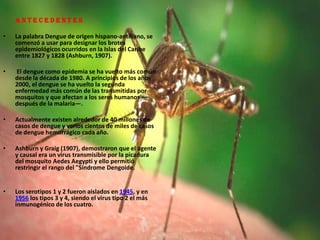 A n t e c e d e n t e sLa palabra Dengue de origen hispano-antillano, se comenzó a usar para designar los brotes epidemiológicos ocurridos en la Islas del Caribe entre 1827 y 1828 (Ashburn, 1907). El dengue como epidemia se ha vuelto más común desde la década de 1980. A principios de los años 2000, el dengue se ha vuelto la segunda enfermedad más común de las transmitidas por mosquitos y que afectan a los seres humanos —después de la malaria—. Actualmente existen alrededor de 40 millones de casos de dengue y varios cientos de miles de casos de dengue hemorrágico cada año.Ashburn y Graig (1907), demostraron que el agente y causal era un virus transmisible por la picadura del mosquito AedesAegypti y ello permitió restringir el rango del "Síndrome Dengoide.Los serotipos 1 y 2 fueron aislados en 1945, y en 1956 los tipos 3 y 4, siendo el virus tipo 2 el más inmunogénico de los cuatro. 