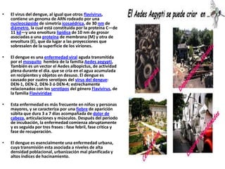 El virus del dengue, al igual que otros flavivirus, contiene un genoma de ARN rodeado por una nucleocápside de simetría icosaédrica, de 30 nm de diámetro, la cual está constituida por la proteína C—de 11 kd—y una envoltura lipídica de 10 nm de grosor asociadas a una proteína de membrana (M) y otra de envoltura (E), que da lugar a las proyecciones que sobresalen de la superficie de los viriones. El dengue es una enfermedad viral aguda transmitida por el mosquito  hembra de la familia Aedesaegypti, También es un vector el Aedesalbopictus, de actividad plena durante el día. que se cría en el agua acumulada en recipientes y objetos en desuso. El dengue es causado por cuatro serotipos del virus del dengue: DEN-1, DEN-2, DEN-3 ó DEN-4; estrechamente relacionados con los serotipos del género Flavivirus, de la familia FlaviviridaeEsta enfermedad es más frecuente en niños y personas mayores, y se caracteriza por una fiebre de aparición súbita que dura 3 a 7 días acompañada de dolor de cabeza, articulaciones y músculos. Después del periodo de incubación, la enfermedad comienza abruptamente y es seguida por tres frases : fase febril, fase critica y fase de recuperación.El dengue es esencialmente una enfermedad urbana, cuya transmisión esta asociada a niveles de alta densidad poblacional, urbanización mal planificada y altos índices de hacinamiento.