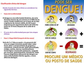 Clasificación clínica del dengue      Desde el punto de vista clínico se consideran las siguientes formas:Fases de la enfermedad     El dengue es una enfermedad dinámica, de corta duración (menos de una semana en el 90% de los casos). Puede modificarse con el paso de los días y agravarse de manera súbita, de ahí la gran importancia de seguimiento diario del enfermo hasta las 72 horas después de la caída de la fiebre.El curso de la enfermedad pasa por tres etapas clínicas:Fase 1: Etapa febril (mayoría de los casos)     Varia de 2 a 7 días se asocia  a la presencia del virus en sangre (viremía); puede haber rubor facial, dolor y enrojecimiento de garganta y conjuntivas, eritema de piel, dolor generalizado, mialgia, vomito, diarrea, manifestaciones hemorrágicas ocasionales (petequias, sangrado por mucosas, gastrointestinal, hematuria). Debe hacerse diagnostico diferencial del dengue con otras enfermedades febriles agudas, a veces difícil de distinguir.