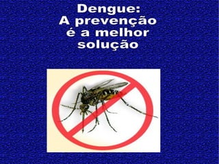 Dengue: A prevenção é a melhor  solução   