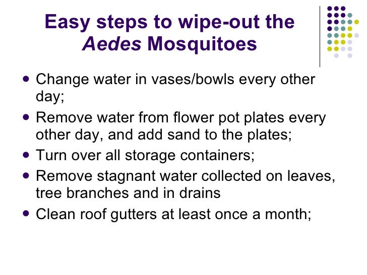 essay steps to prevent aedes mosquito from breeding