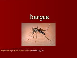 Dengue




http://www.youtube.com/watch?v=h0vOYIKgQCU
 