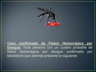 • Caso confirmado de Fiebre Hemorrágica por
  Dengue: Toda persona con un cuadro probable de
  fiebre hemorrágica por dengue confirmado por
  laboratorio que además presente lo siguiente:
 