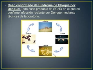 • Caso confirmado de Síndrome de Choque por
  Dengue: Todo caso probable de SCHD en el que se
  confirme infección reciente por Dengue mediante
  técnicas de laboratorio.
 
