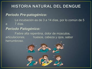 Periodo Pre-patogénico:
      La incubación es de 3 a 14 días, por lo común de 5
a     7 días.
Periodo Patogénico:
        Fiebre alta repentina, dolor de músculos,
articulaciones,       huesos, cabeza y ojos, sabor
herrumbroso.
 