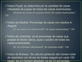  Índice Pupal: se determina por la cantidad de casas
  infestadas de pupas de todas las casas examinadas:
      (Número de casas con pupas/número de casas examinadas) *
100


 Índice de Adultos: Porcentaje de casas con adultos A.
  Aegypti
      (N° de casas con adultos AA/N° de casas examinadas) * 100


 Índice de viviendas: es el porcentaje de casas que
  poseen el vector (larva, pupa o adulto) de todas las
  casas examinadas.
      (N° de viviendas infestadas/N° de viviendas total) * 100


 Índice de Breteau: Se calcula partiendo del número total
  de depósitos con larvas de Aedes aegypti por cada 100
  casas, es un número absoluto, no es un porcentaje.
 