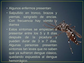 • Algunos enfermos presentan:
• Salpullido en tronco, brazos y
  piernas, sangrado de encías.
  Con frecuencia hay vómito y
  diarrea
• Estos síntomas se empiezan a
  presentar entre los 5 y 8 días
  después de la picadura y
  pueden durar de 3 a 7 días.
  Algunas personas presentan
  síntomas tan leves que no saben
  que ya sufrieron dengue clásico,
  quedando expuestos al dengue
  hemorrágico.
 