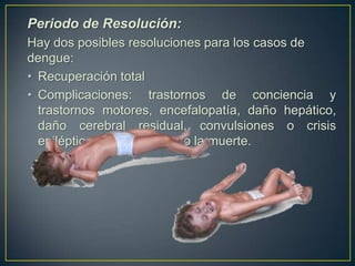 Periodo de Resolución:
Hay dos posibles resoluciones para los casos de
dengue:
• Recuperación total
• Complicaciones: trastornos de conciencia y
  trastornos motores, encefalopatía, daño hepático,
  daño cerebral residual, convulsiones o crisis
  epiléptica, shock, e incluso la muerte.
 